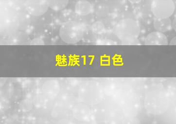 魅族17 白色